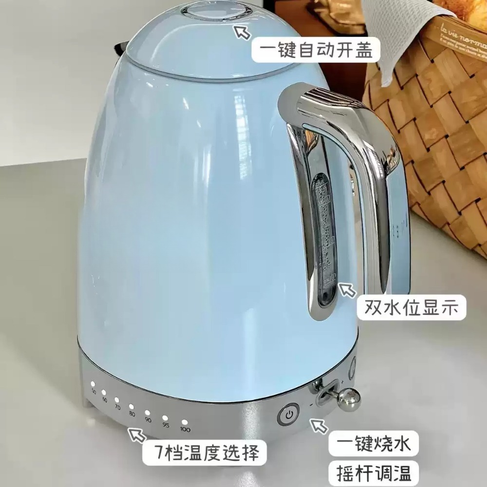 Retro Temperature Control Elec - Electric Kettle Temperature Control 评论和价格